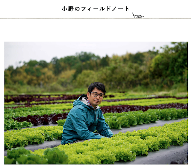 坂の途中の社長小野さんが畑の野菜の中に座っている写真